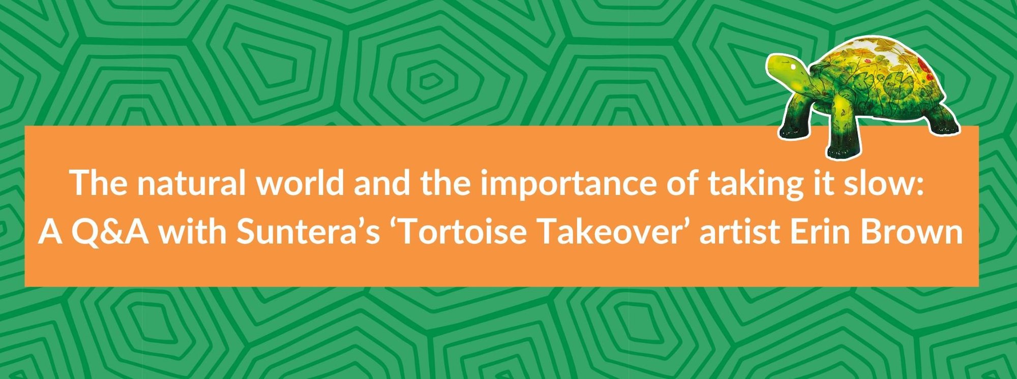 The natural world and the importance of taking it slow A Q&A with Suntera’s ‘Tortoise Takeover’ artist Erin Brown-1