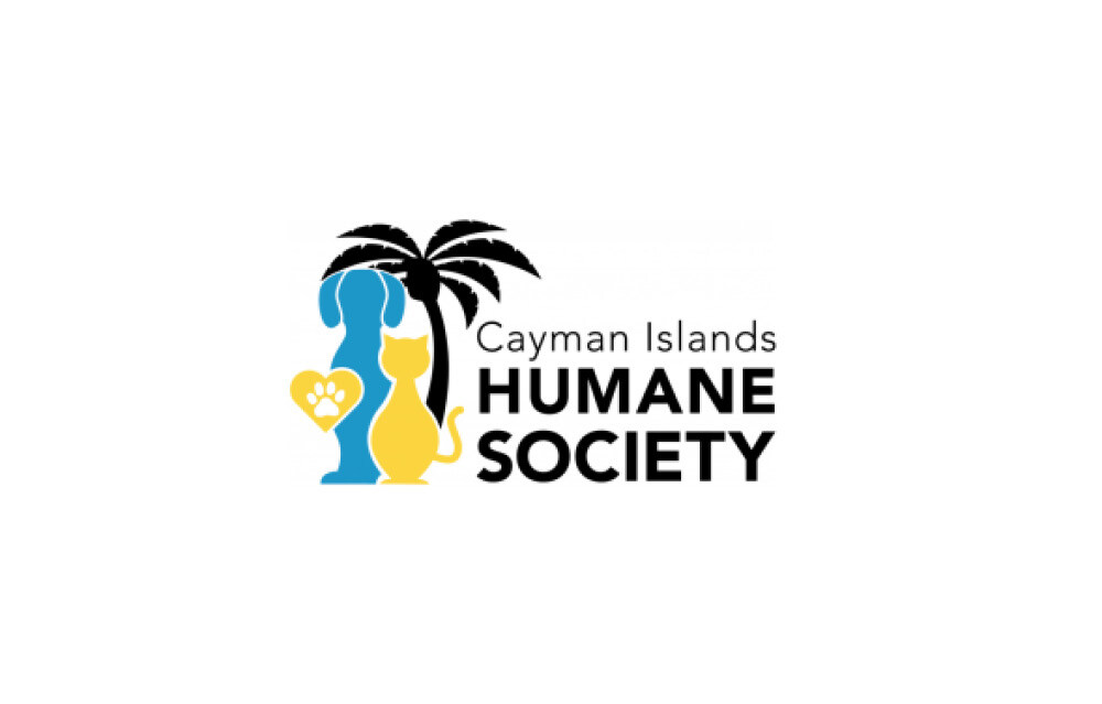 Cayman Islands - Box Module - ESG - Charities of the Year 2024 V2