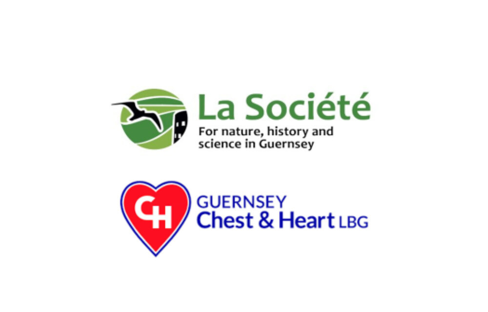 Guernsey - Elizabeth House - Box Module - ESG - Charities of the Year 2024 V2