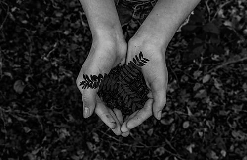 photo-1542601906990-b4d3fb778b09